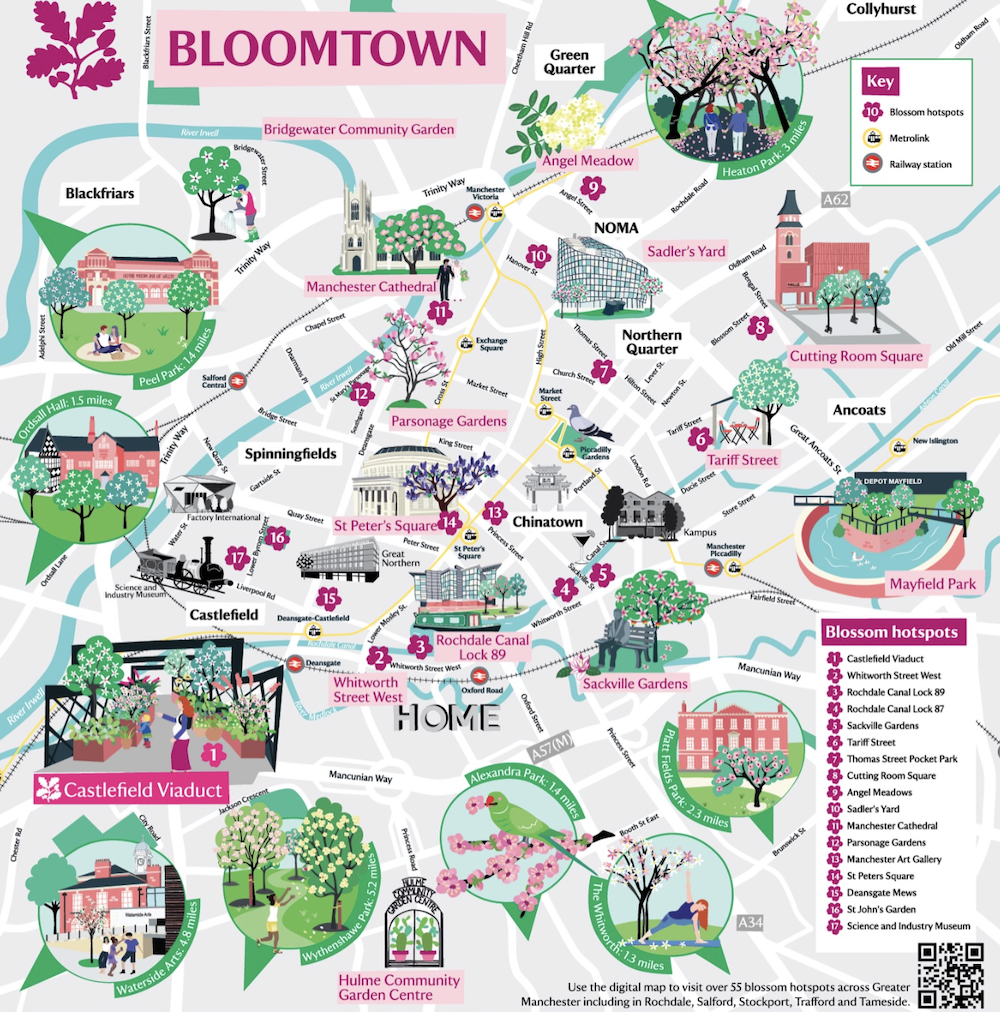 Bloomtown Blossom Trail
