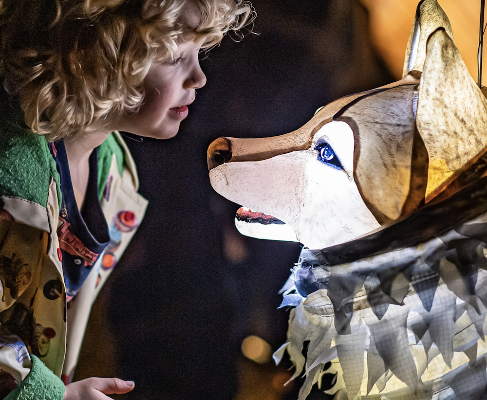 Chester Zoo Lanterns christmas light trail