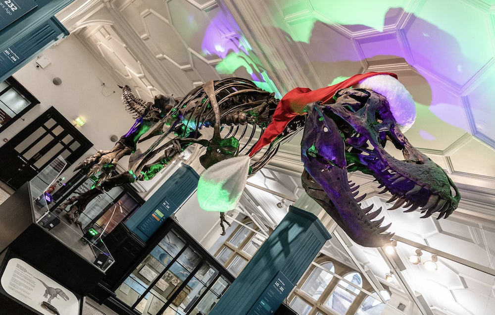 Dinosaur Christmas Manchester Museum