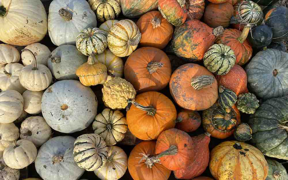 Pumpkins Manchester