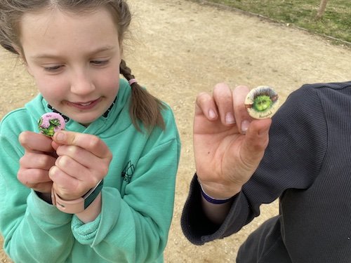 Top Tips BeWilderwood activity prize 