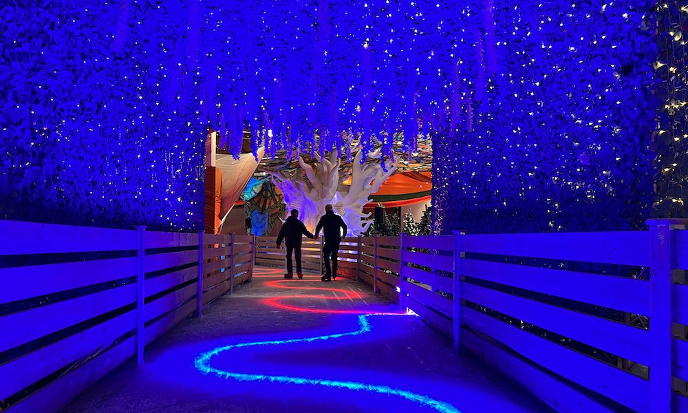 Review Unreal Xmas Ice Rink Trafford Centre And What To Expect