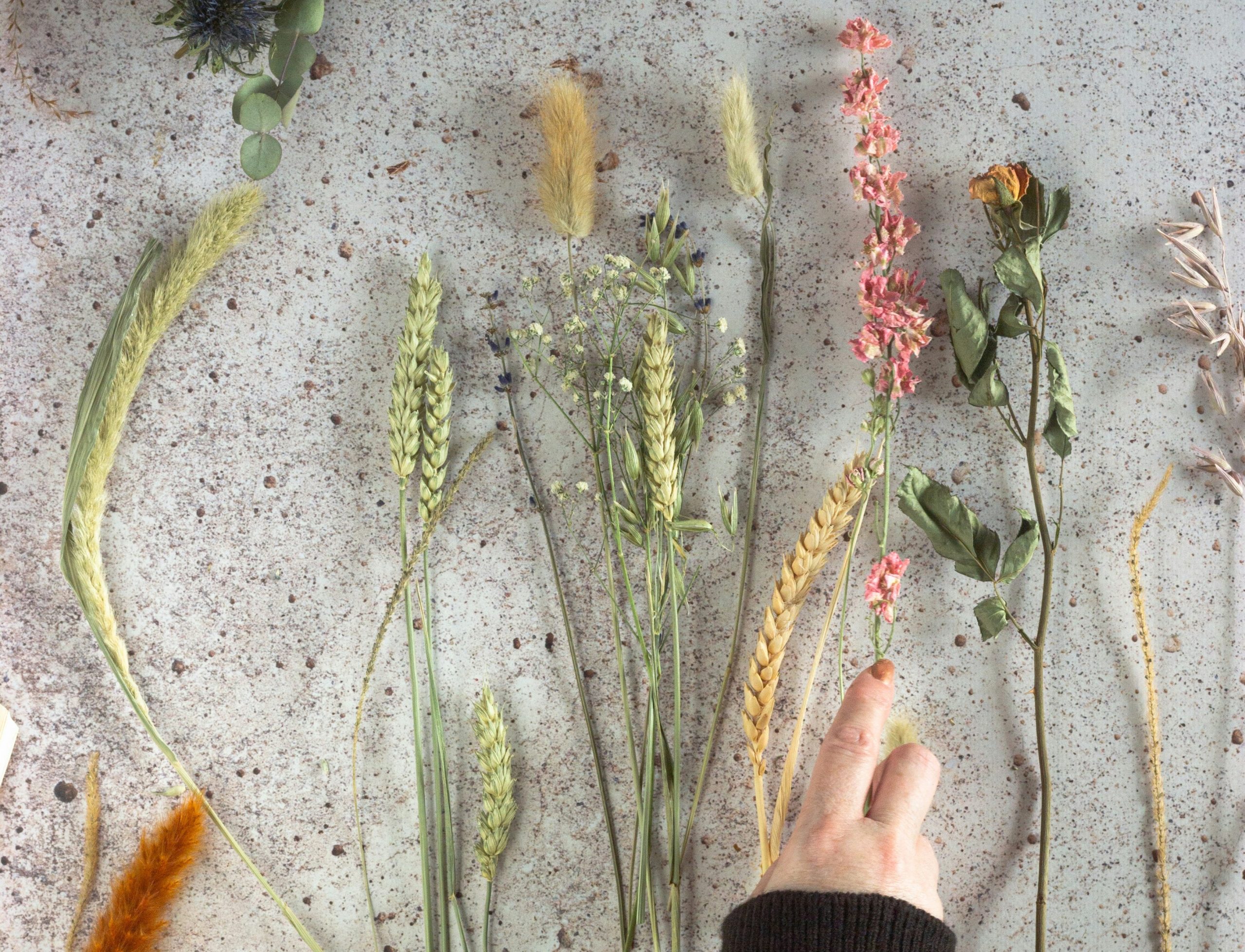 Mothers Day Crafts Manchester a ladies hand arranging dried flowers