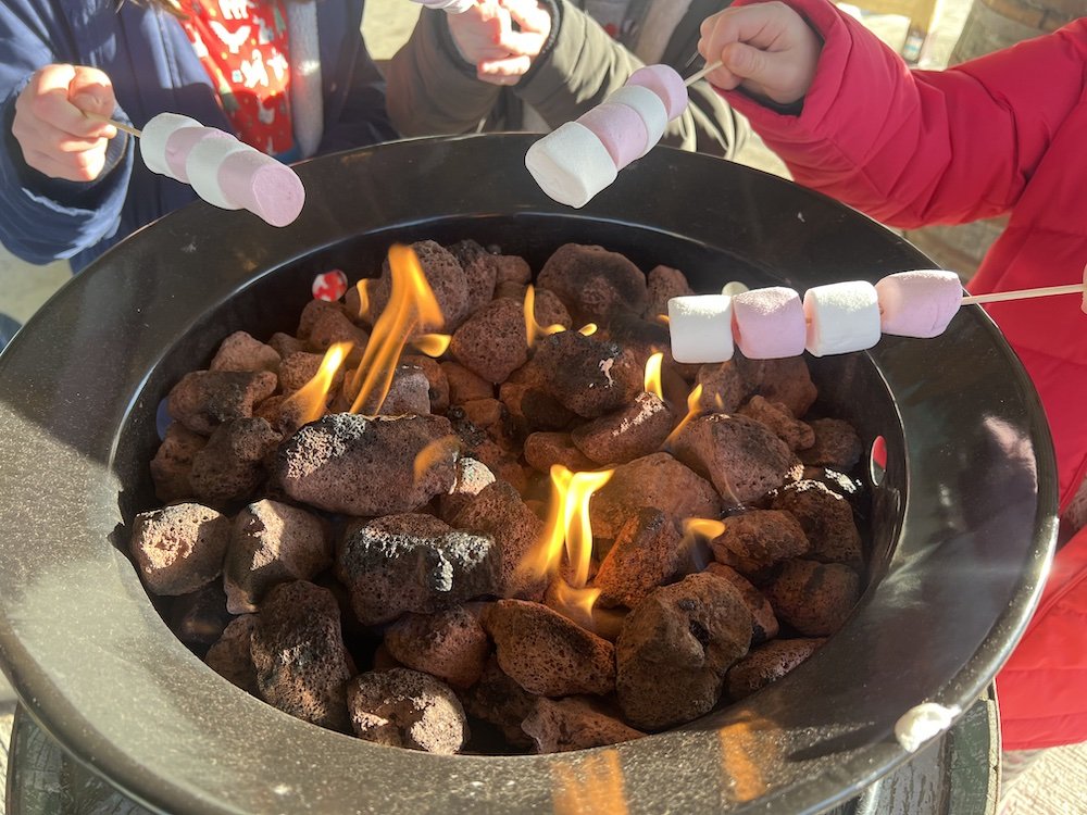Review Cockfields Farm Christmas - Toasting Marshmallows