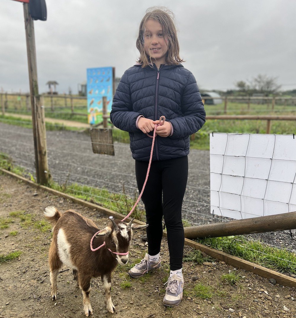 Review of Cockfields Farmlife Festival and Top Tips goat walking