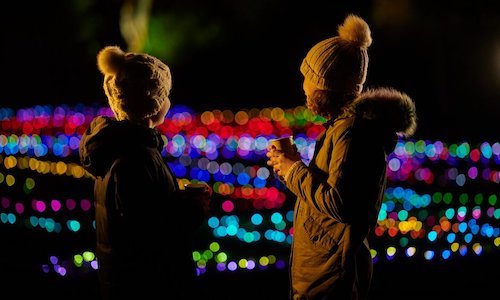 RHS Gardens glow christmas lights with two people stood in front