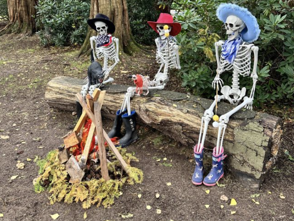 Skellies and wellies at tatton park
