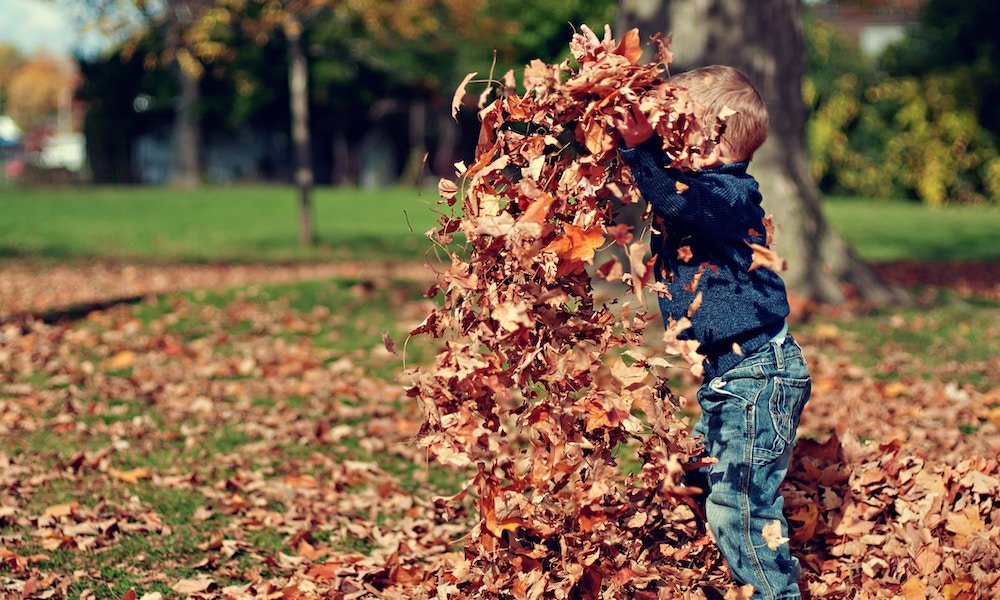October half term boy playing with leaves