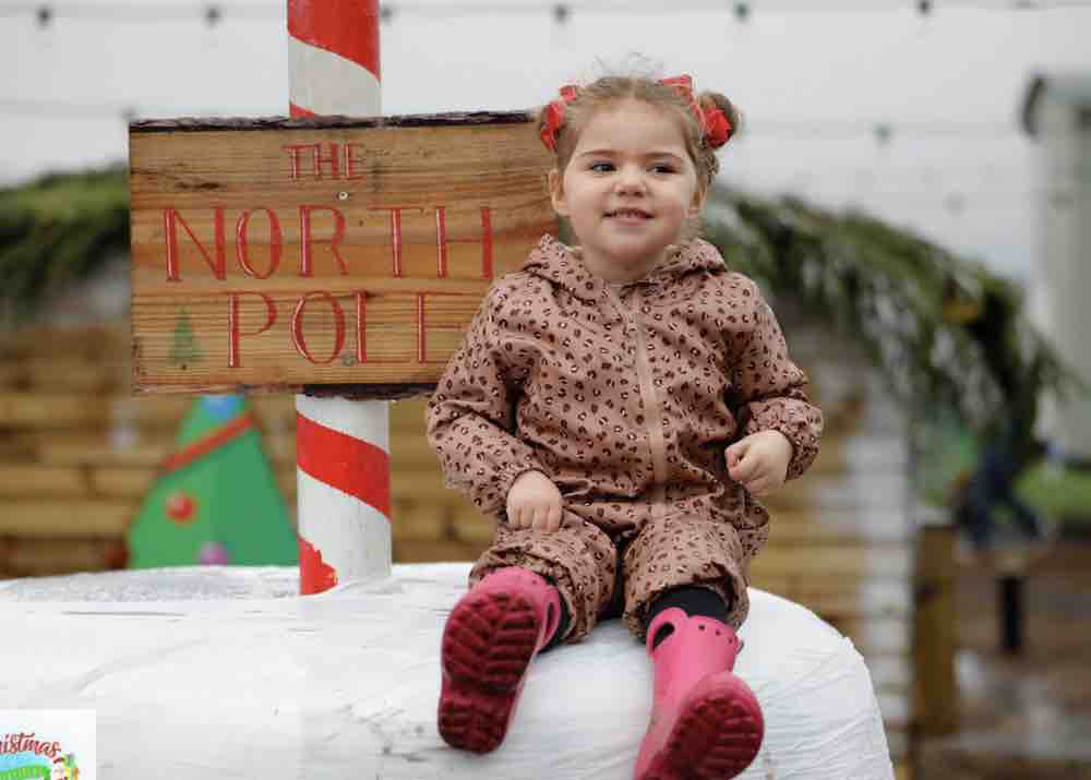 Cockfields Mini Christmas toddlers how much are the tickets