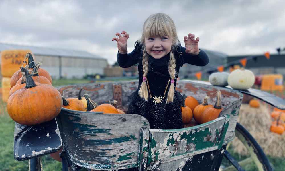 Cockfields Farm Halloween Pumpkin Festival 