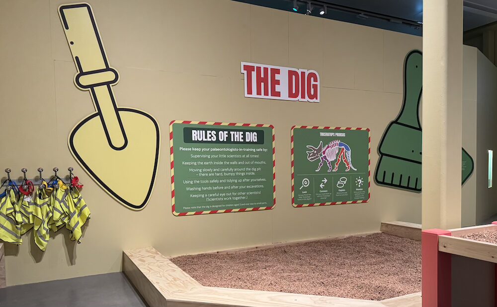 Triceratops Eat Roam and Sleep Manchester Museum dino dig
