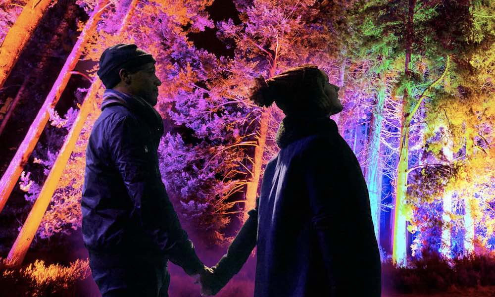 two people holding hands in the lights at Delamere Forest