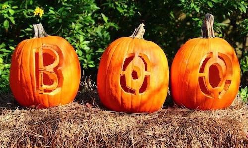 carved pumpkins at haigh woodland park